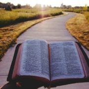 bible on a path